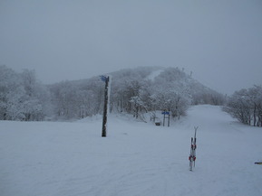 DSCN4878