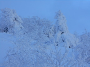 DSCN0536