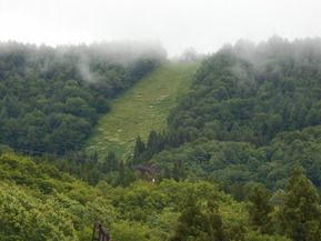 DSCN4745