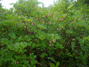 IMGP5794