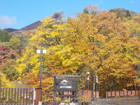 DSCN1021