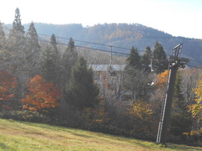 DSCN1484