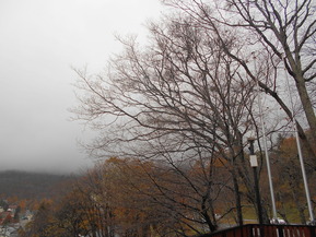 DSCN6019