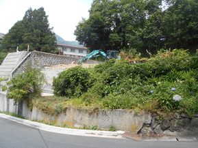 DSCN5085