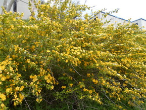 DSCN1809