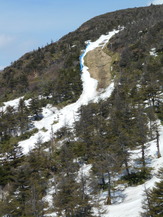 DSCN6339