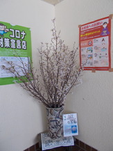 DSCN2759