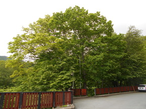 DSCN0648