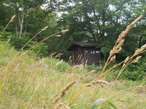 DSCN0038