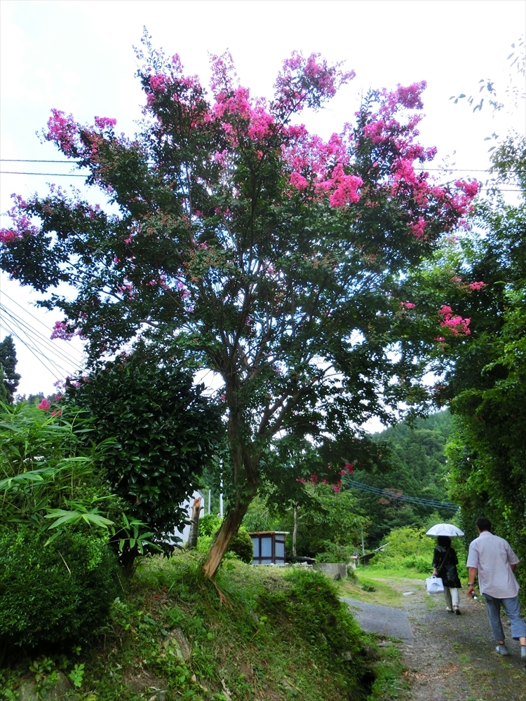 CIMG1695_R