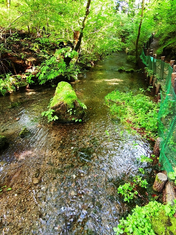 CIMG2694_R