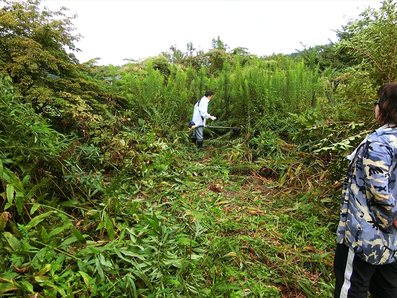 CIMG1156_R