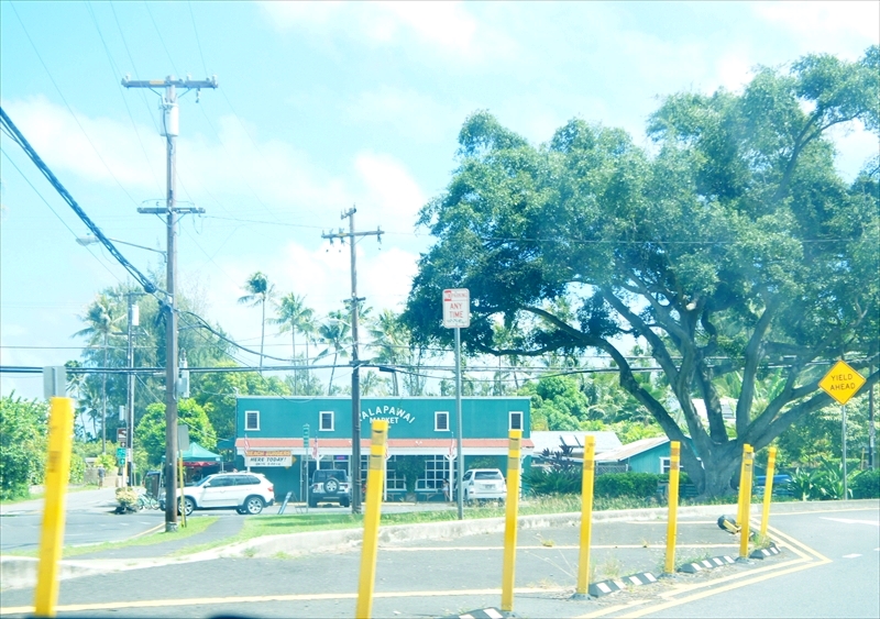 DSC00428_R