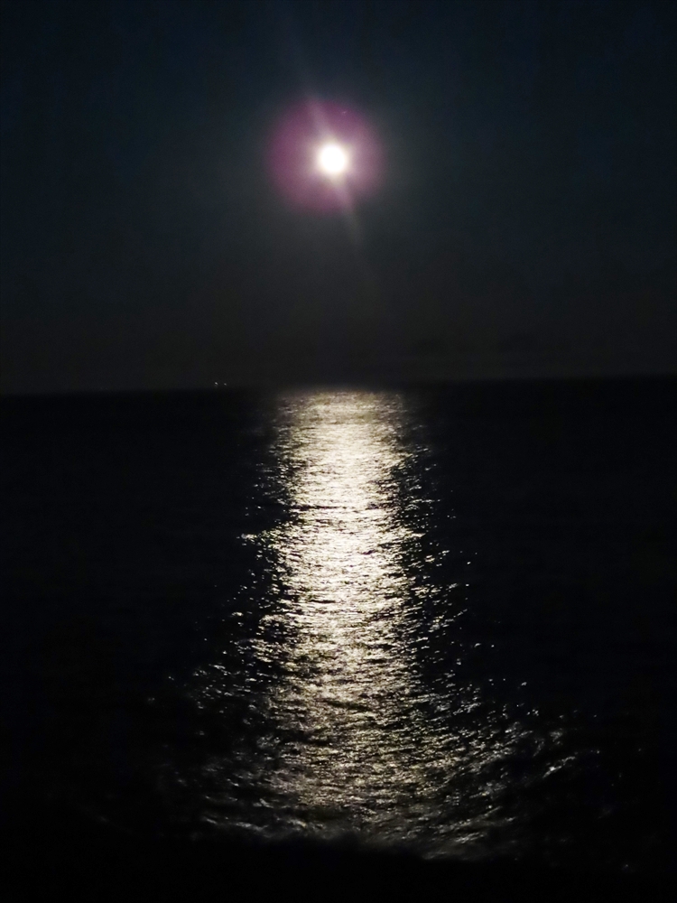 IMG_7567_R
