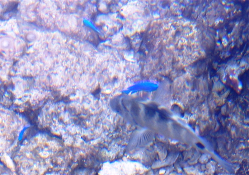 DSC02909_R