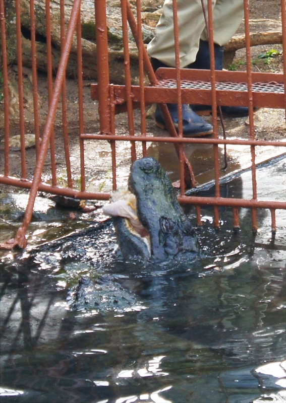 DSC00025_R