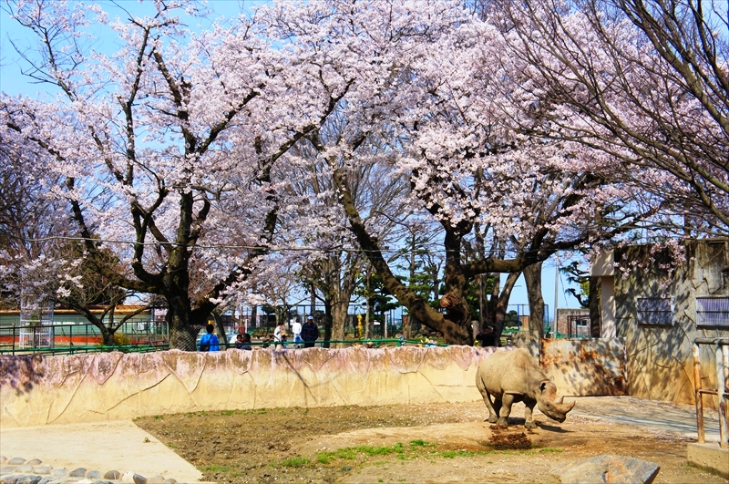 DSC04030_R