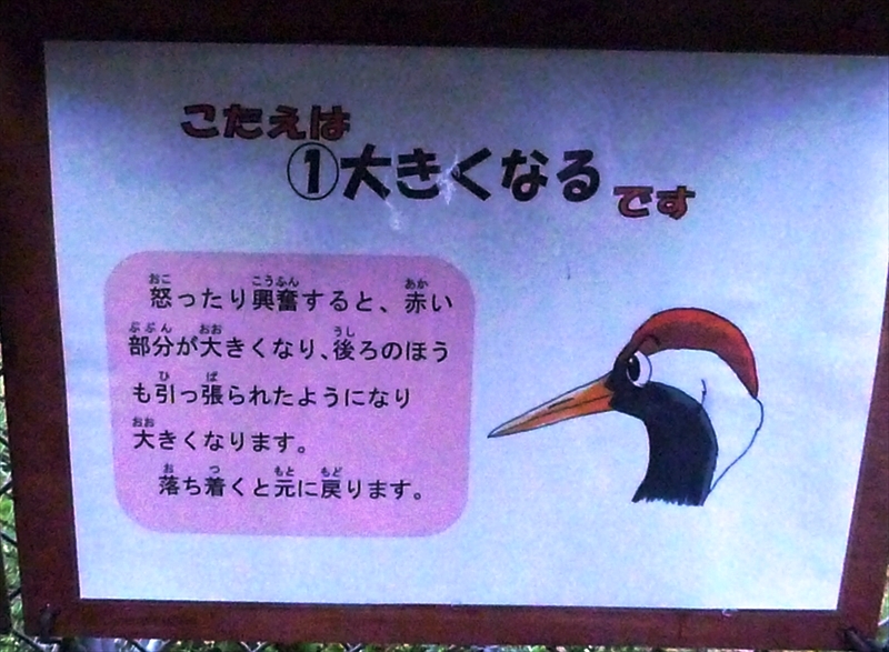 P1130503_R