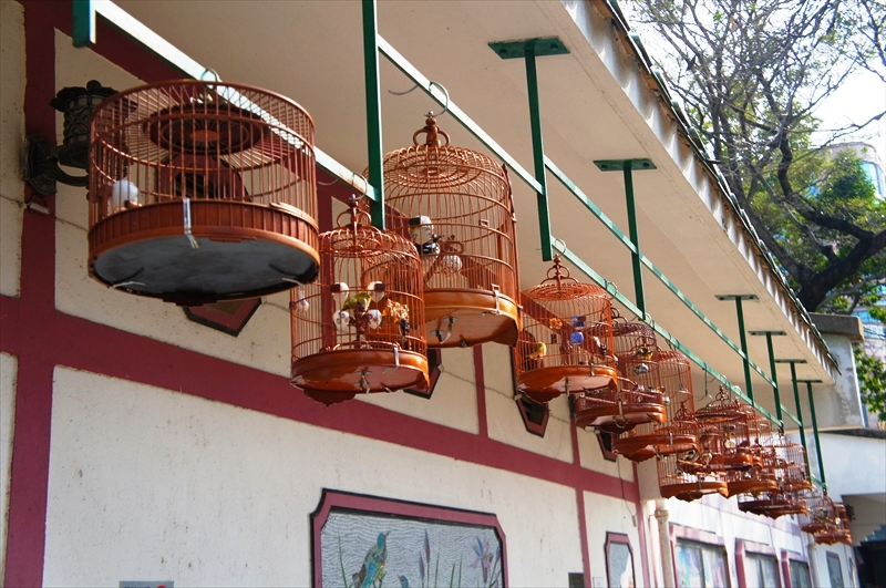 DSC00812_R