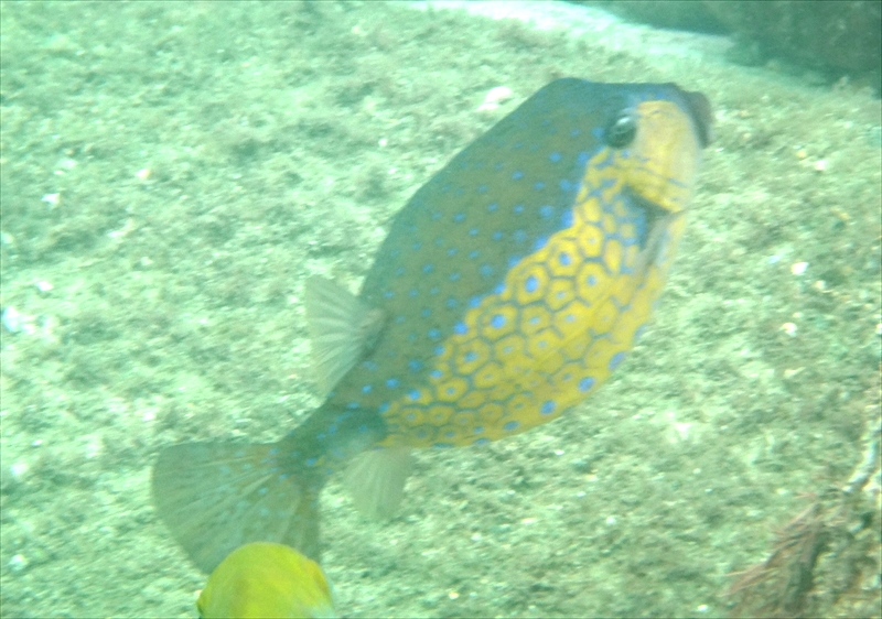 DSC07479_R