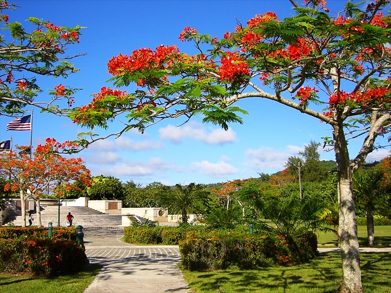 CIMG4365_R