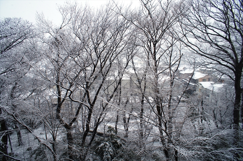 DSC03727_R
