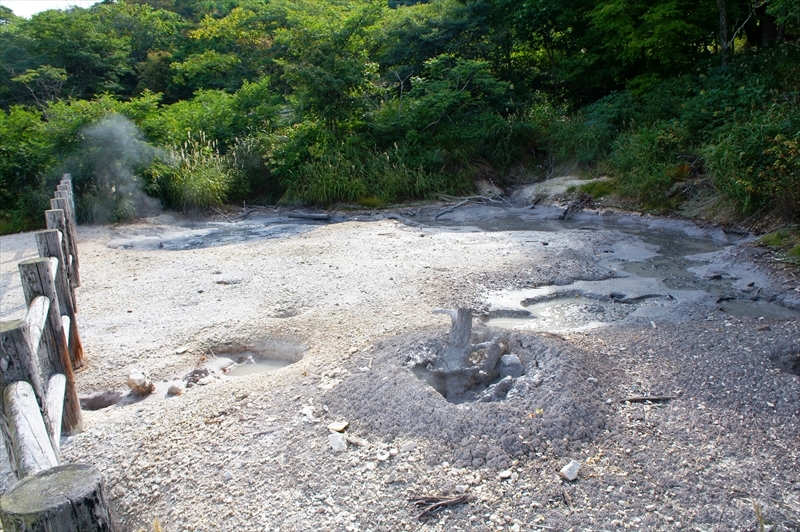 DSC00265_R