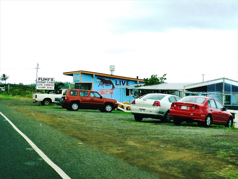 P1080868_R
