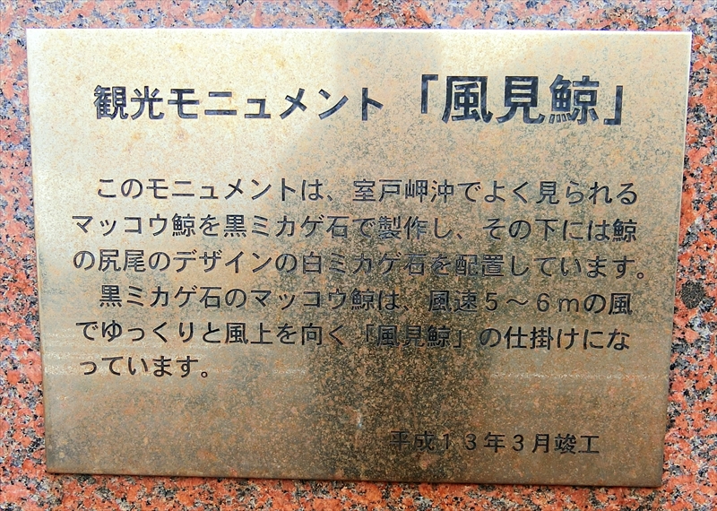 CIMG4653_R