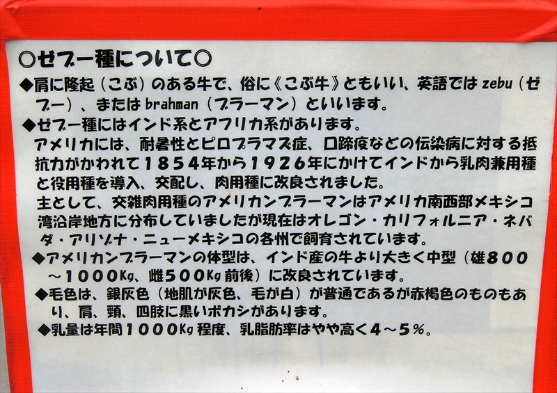 CIMG0714_R