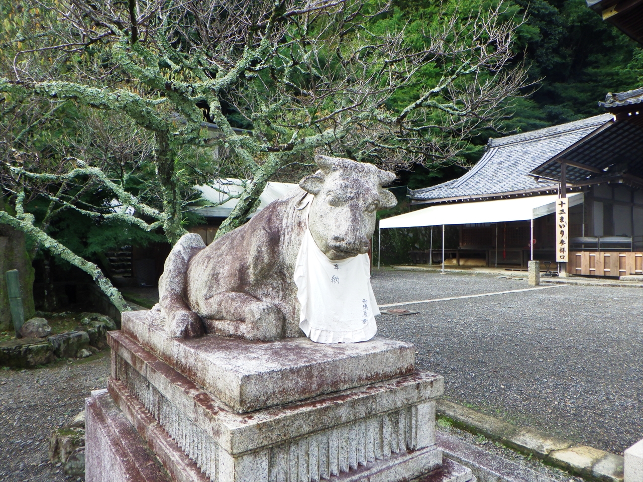 R0010099_R