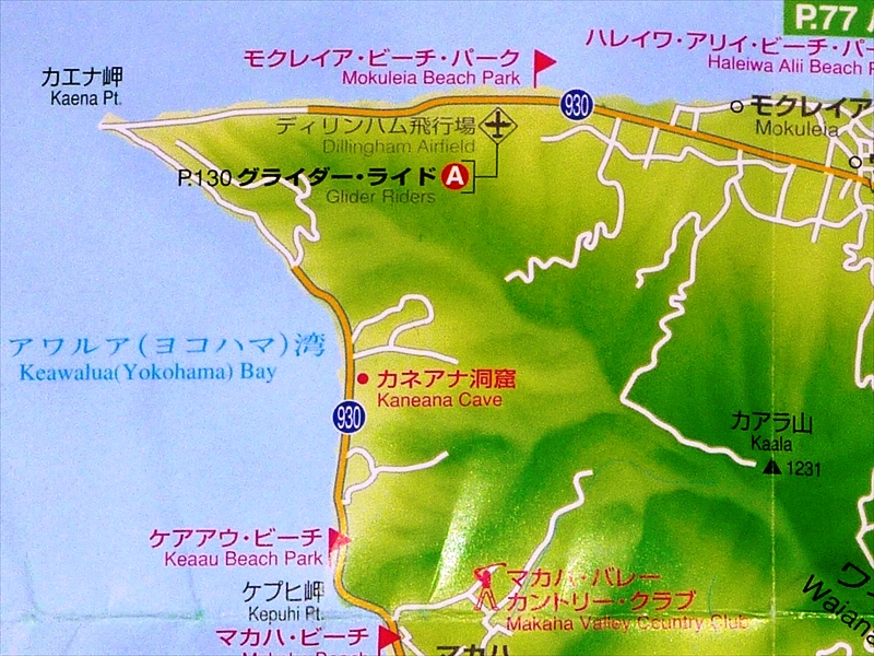 P1110662_R