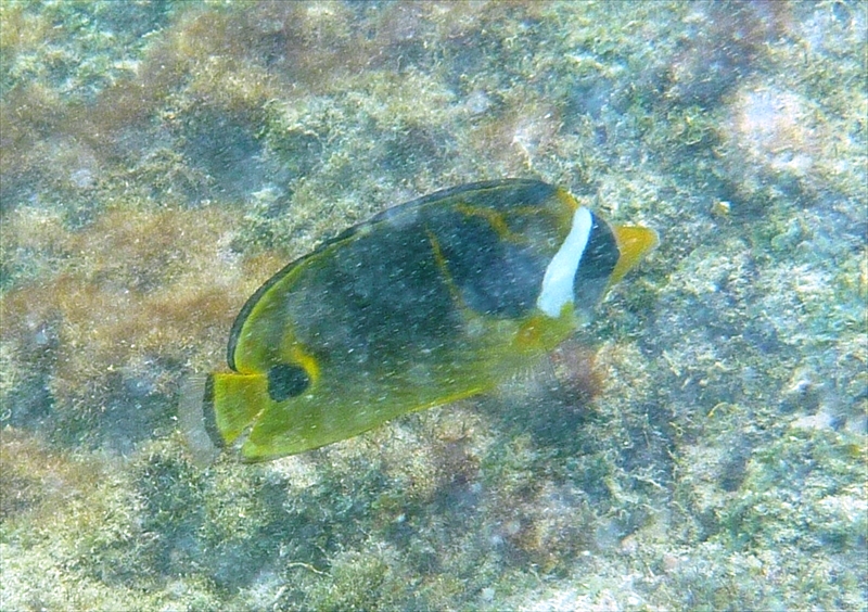 P1020105_R
