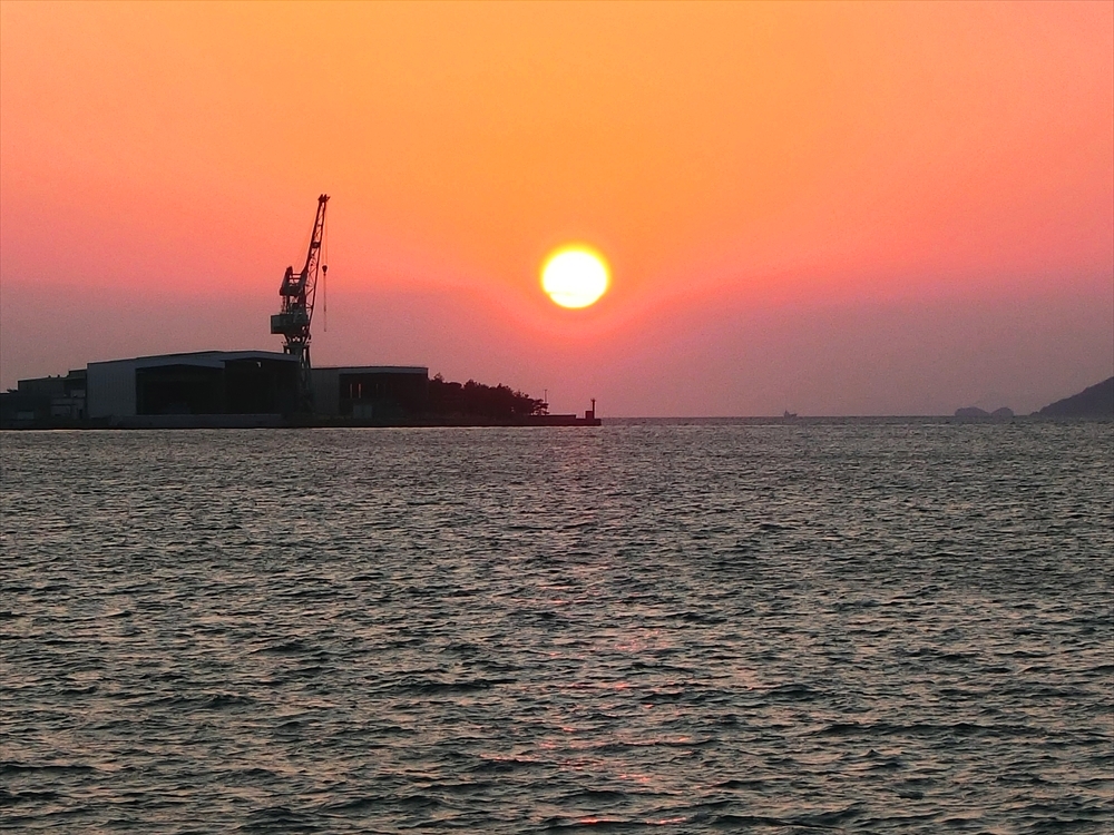 CIMG9847 (2)_R