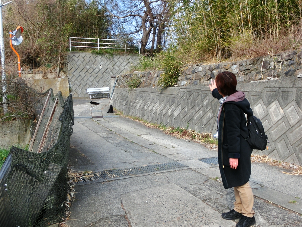 CIMG0234 (2)_R