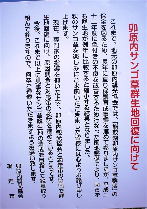 DSC00289_R