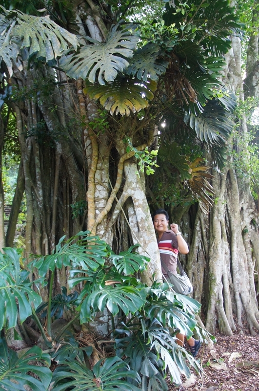 DSC08319_R