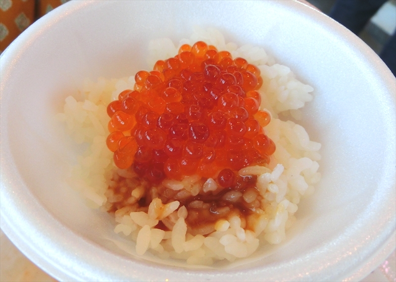 CIMG0644_R