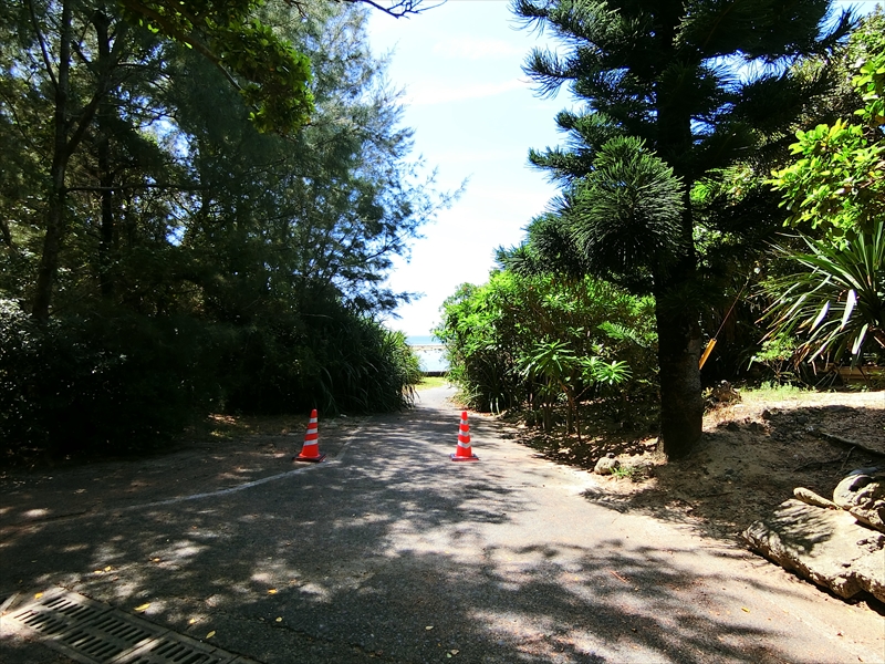CIMG6566_R