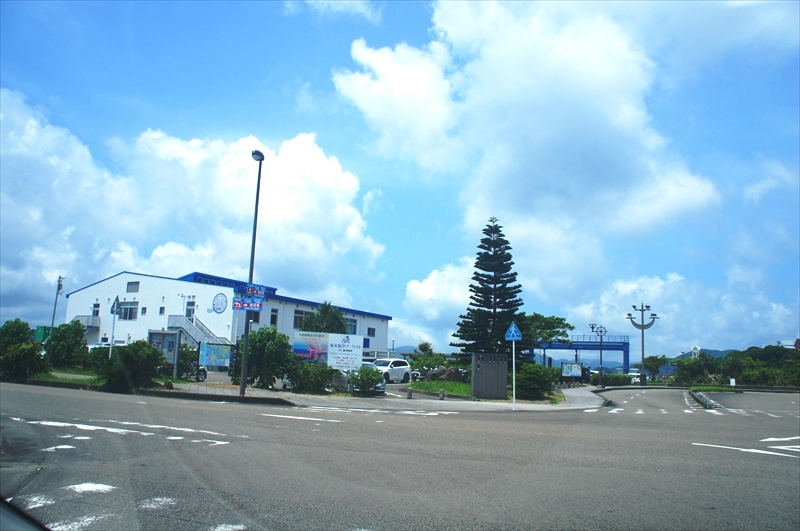 DSC00491_R