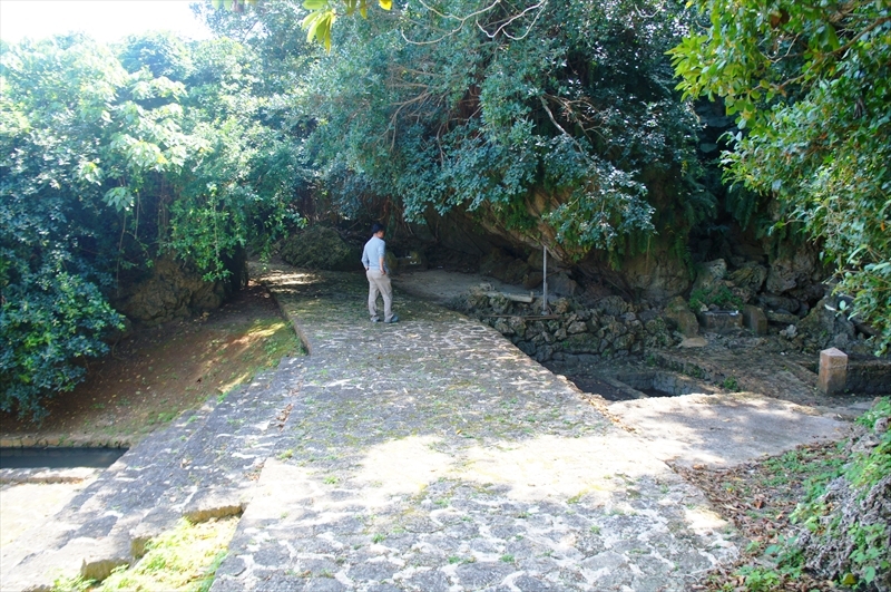 DSC00908_R