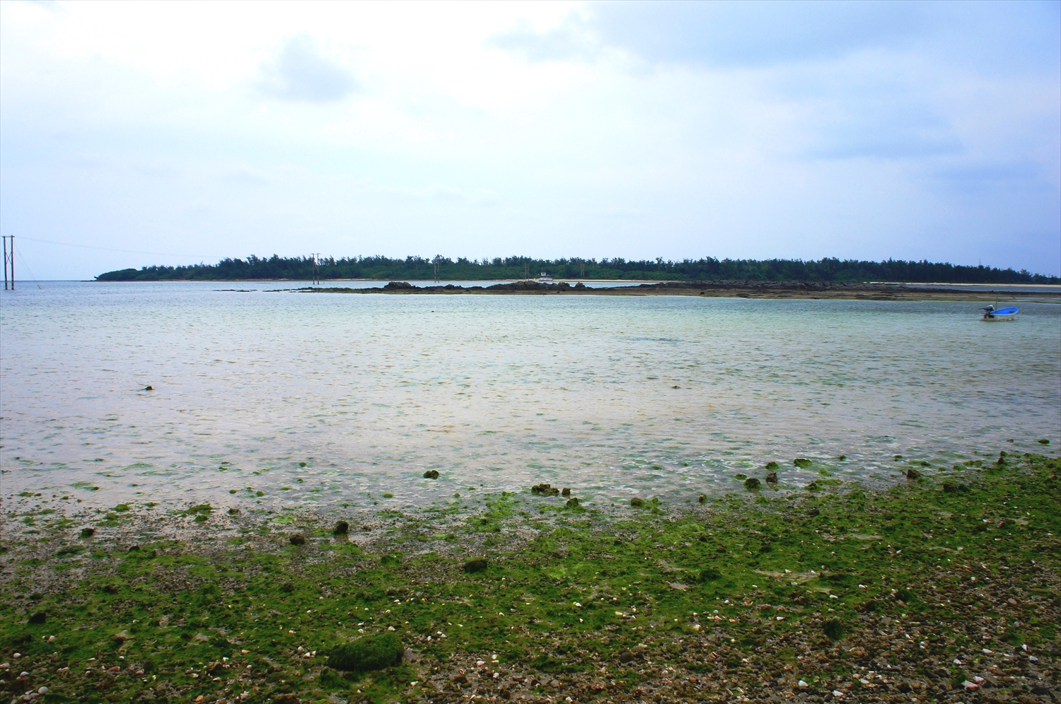 DSC03258_R