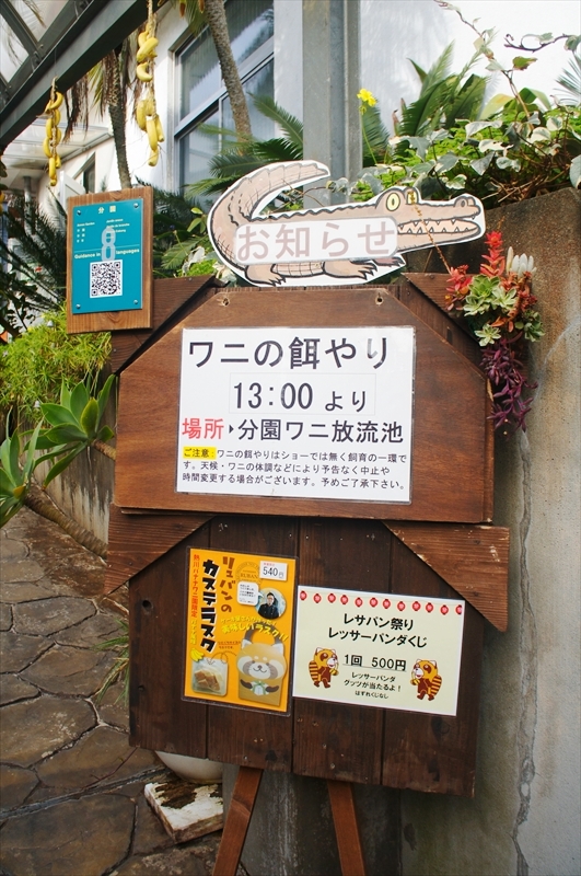 DSC00018_R