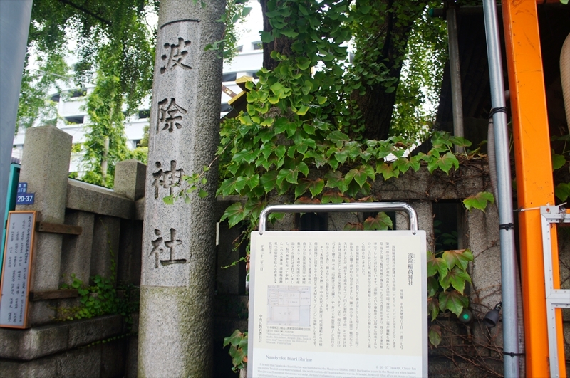 DSC00572_R