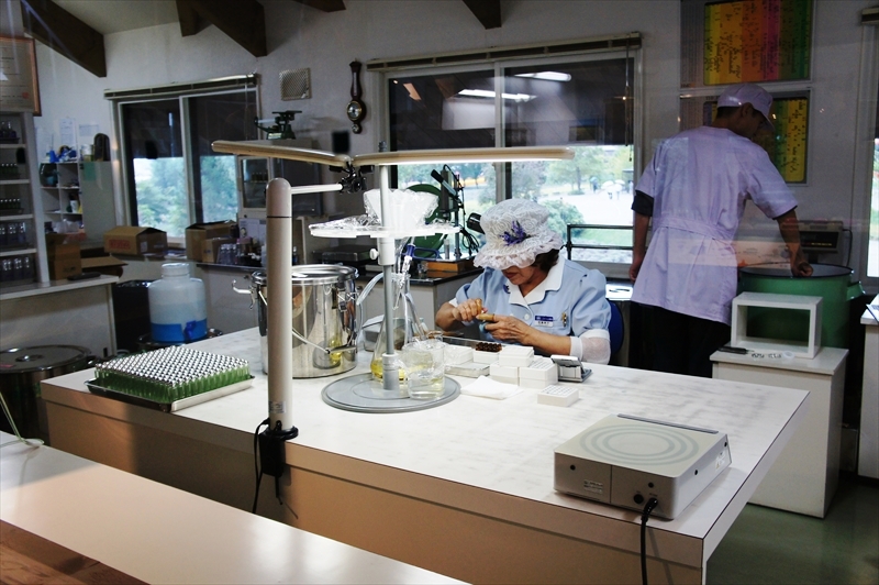 DSC00974_R