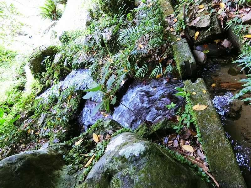 CIMG4963_R