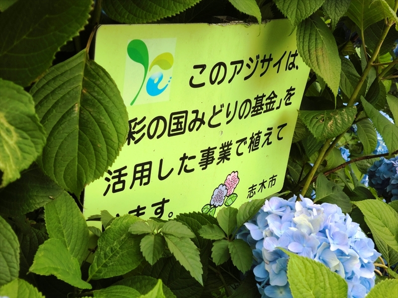 CIMG0173_R