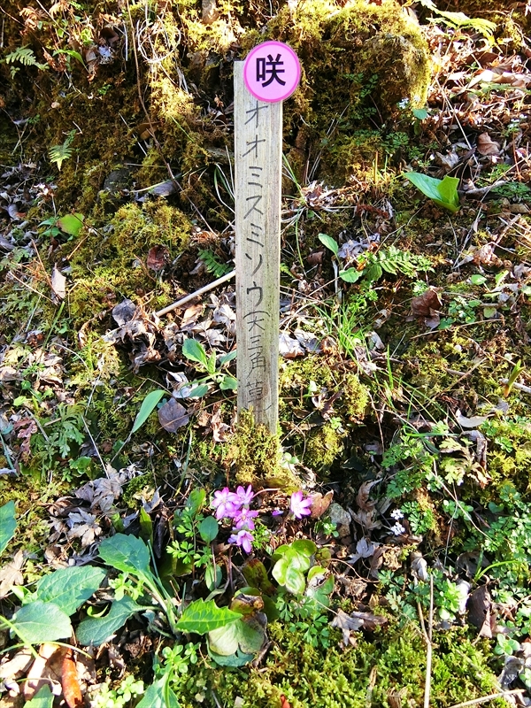 CIMG6016_R