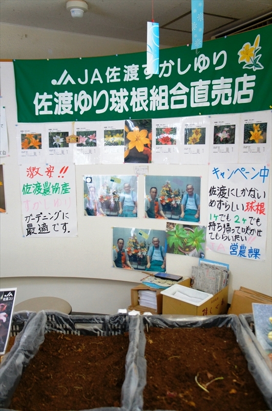 DSC05352_R