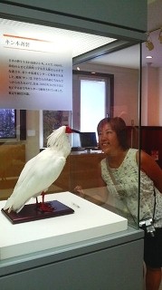キンちゃん